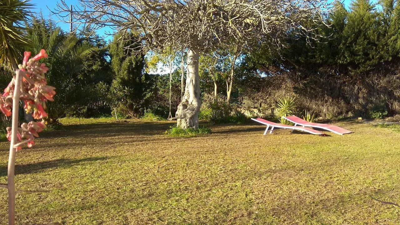 Сasa de vacaciones Fig Tree Cottage Chiclana de la Frontera España